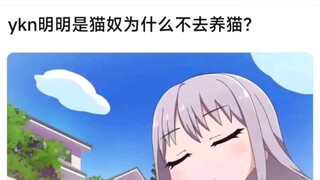 【BangDream】ykn明明是猫奴为什么不去养猫？