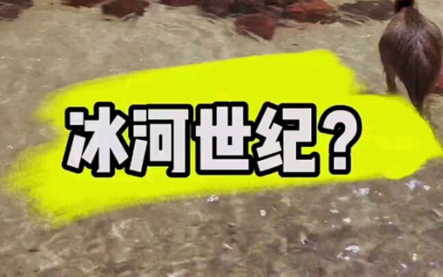 Come witness boiled-and-grilled crispy noodles together tomorrow
