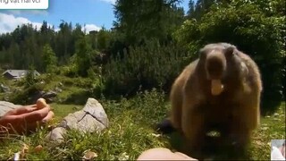 Thế giới động vật hay nhất con cc to dep hay vcl luôn -phần 24 hay vcl