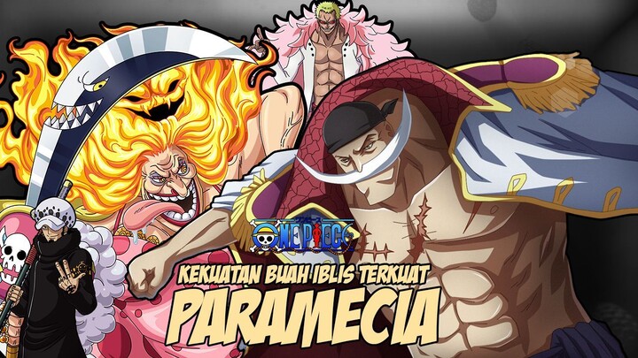 10 BUAH IBLIS PARAMECIA TERKUAT DI ONE PIECE 🔥