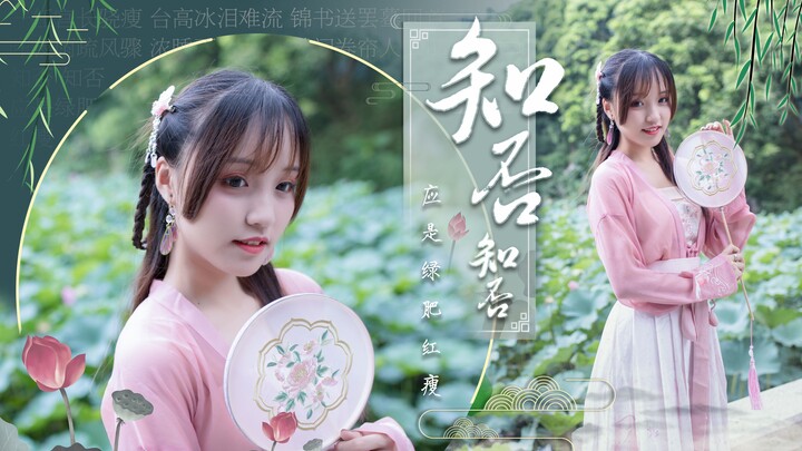 【鱼丸】❀知否知否❀ 试问卷帘人，却道海棠依旧