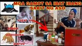 MGA GAMOT SA SAKIT NG ASO | ITO ANG LAMAN NG MEDICAL DOG BOX NAMIN