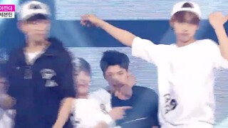 Let's take a look at the special offers during Zhenai's promotional period and the cute little skit