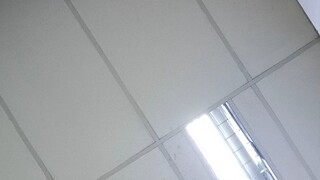 ycchcyfy
