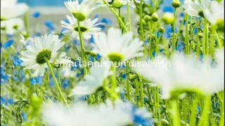 รักล้นใจฯลฯ