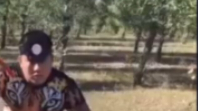 [Rare] Tiger tried to sacrifice himself to revive his girlfriend