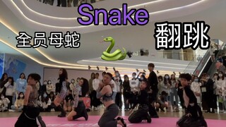 【999】Snake全曲 全员母蛇