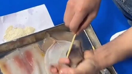 โลมา: นี่ฉันมาถึงซีตู้แล้วเหรอ?