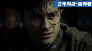 [HP｜Tears] Kumpulan baris terakhir dari setiap karakter di Harry Potter! (dengan subtitle!!!)