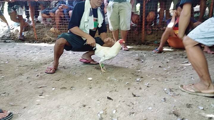 grabeng palo tumakbo pa