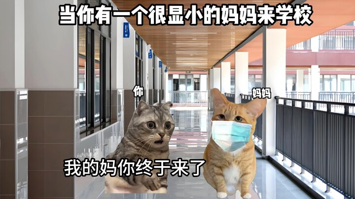 当你有一个很显小的妈妈来学校