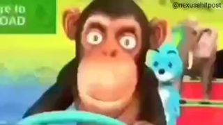 macaco dirigindo uma melancia ao som de mc poze