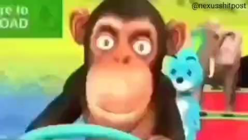 macaco dirigindo uma melancia ao som de mc poze