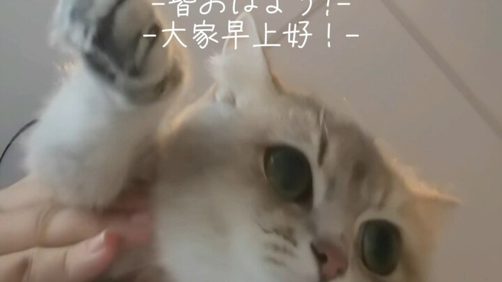 Lớp 9 / Vlog tiếng Nhật