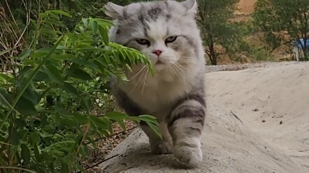 Chúc mọi người Tết Đoan Ngọ vui vẻ nhé!