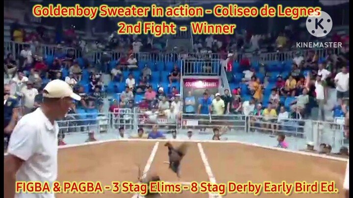 Goldenboy Sweater in action at Coliseo de Leganes Iloilo - FIGBA 3-Stag Elims - 2nd Fight