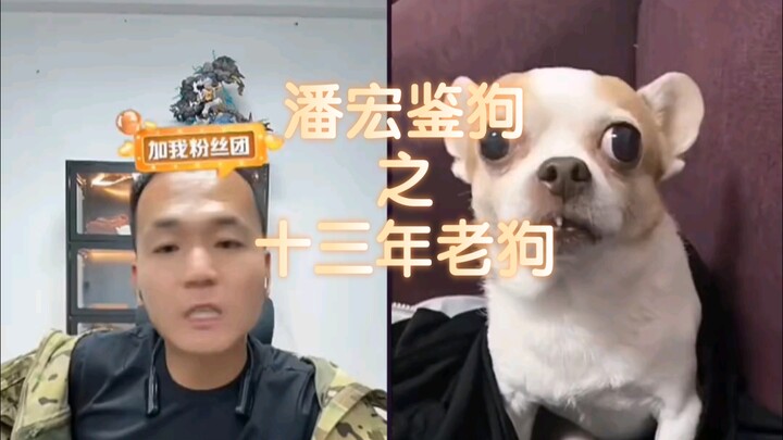 [Pan Hong Live Replay] "Doctor Pan Solves Problems at Their Root"