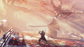 Sekiro/GMV】Apakah kamu juga memiliki seorang ninja di hatimu?