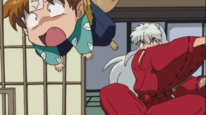 [ InuYasha ] The dog still dotes on Qibao, and he held back for a while before taking action.