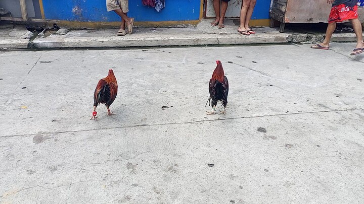 kitang kita ang patama