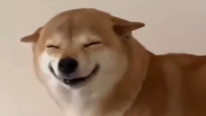 “Want to keep it, but don’t really want to…”