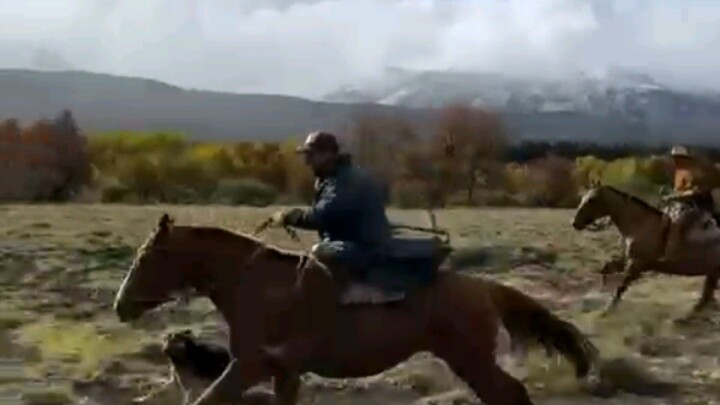 Let's ride the horse  enjoy your life