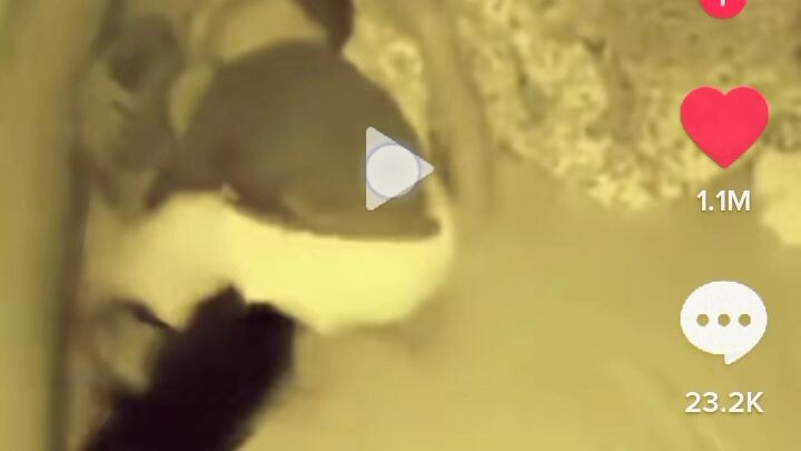 em bé quẩy kinh thế