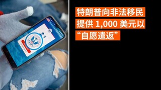 特朗普向非法移民提供1000美元以“自愿遣返”