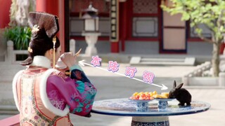 《可爱娇气婉婉一款进忠诱捕器》~