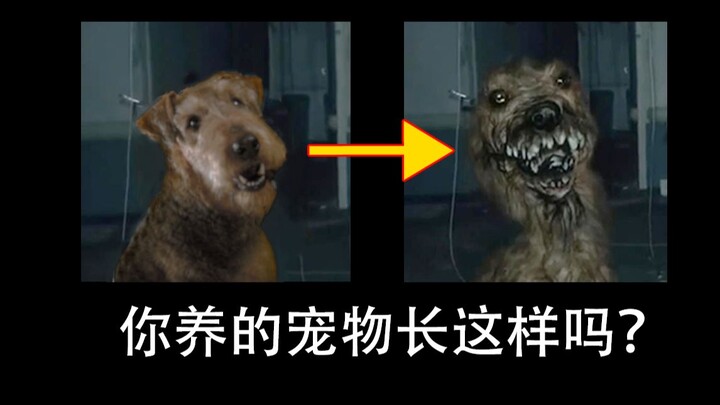 Has a brand-new, terrifying species infiltrated humanity’s pet world? Footage leaked online has reve