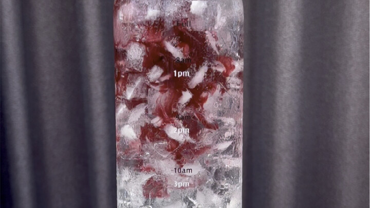 Blueberry Raspberry Sparkling Water | The taste actually kinda reminds me of Starbucks’ Iced Shaken 