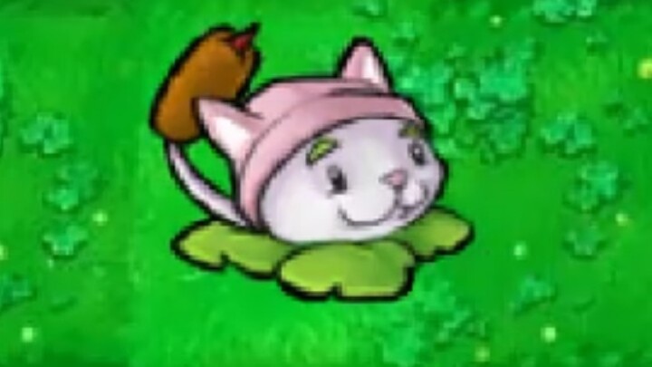 Heart's Desire Comes True