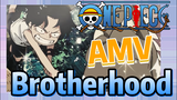 [ONE PIECE]  AMV | Brotherhood