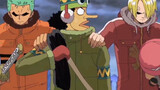 Cheating Luffy together, the tacit cooperation between the cook and the green algae head haha