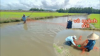 Ra đồng kéo lưới  không ngờ dính được bầy cá khủng