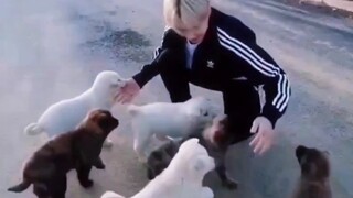 إنه حقًا يحظى بثقة الحيوانات الصغيرة بسهولة!