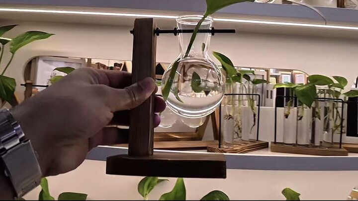 Amazon vs China Factory Price of Aesthetic Vase!