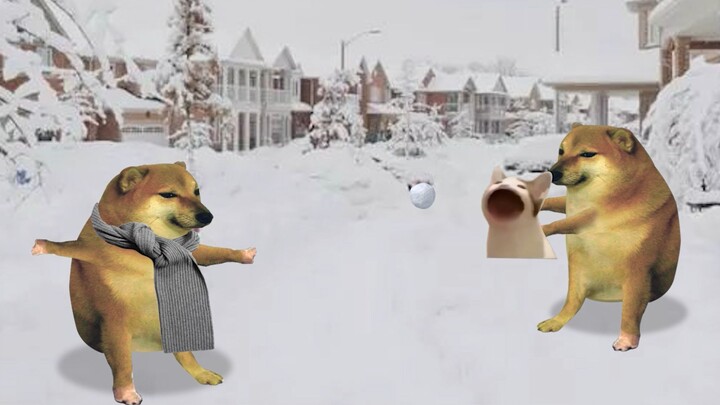 Civilized snowball fight