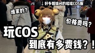 A cosplay costume everyone from aunties to kids loves! How much did it cost in total?