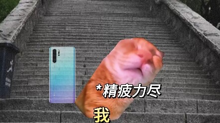 “世界是属于我们的！”