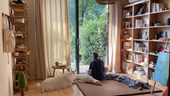 5 năm không đi làm đã chữa lành sự tiêu hao tinh thần của tôi