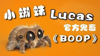 小蜘蛛Lucas和小苍蝇带来官方鬼畜《BOOP》