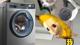 زوجي يتسرب اللون