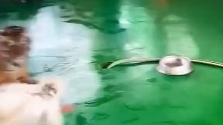 Neither side has a clear understanding of themselves!