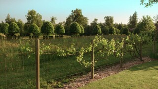 Sealed with a Kiss: Wedding March 6 (2021)