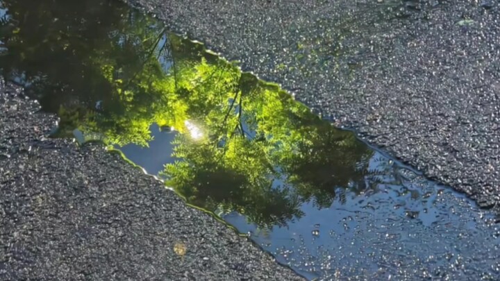 You clearly have eyes that can see beauty, yet you're unaware of it.