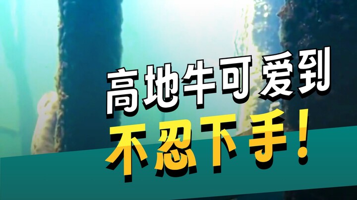 เพื่อนฉันสู้ได้ไหม?