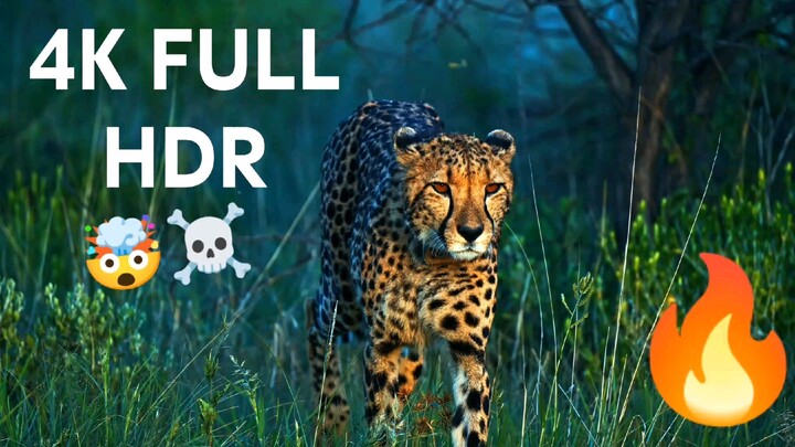 4K FULL HDR with same Nature Clips 🤯☠️🔥 . Don't Miss This Video . #4K #4knature