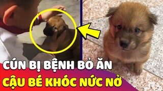 Chú chó bị 'ỐM NẶNG' bỏ ăn , cậu bé sợ mất đi người bạn của mình mà ngồi KHÓC NỨC NỞ 😢 | Gâu Đần