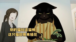 七月新番:当猫能听懂人话,那就没铲屎官什么事了